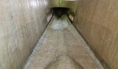 Norfeu Cat, casco Laminado.